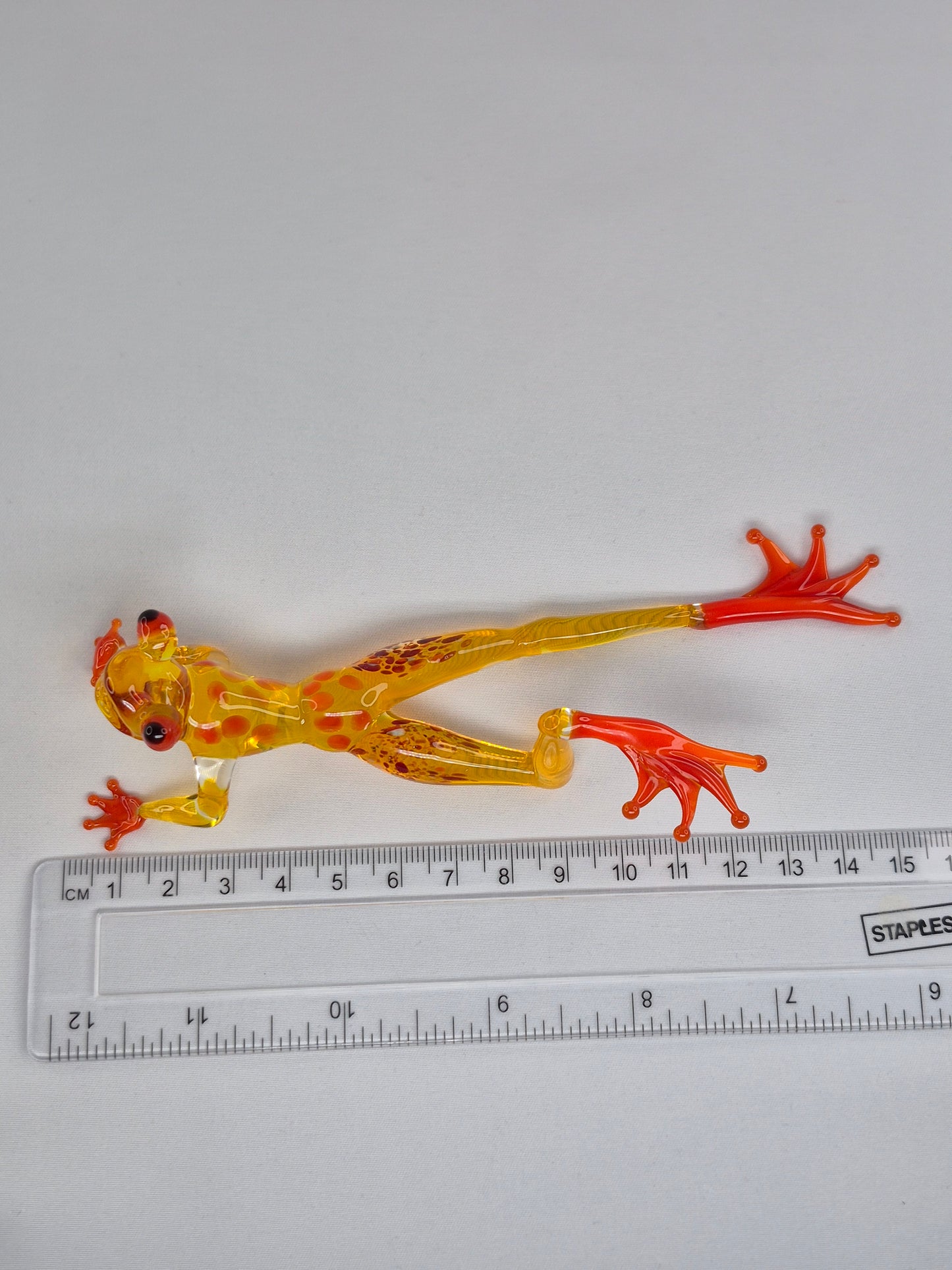 Yellow Glass Frog on the Beach