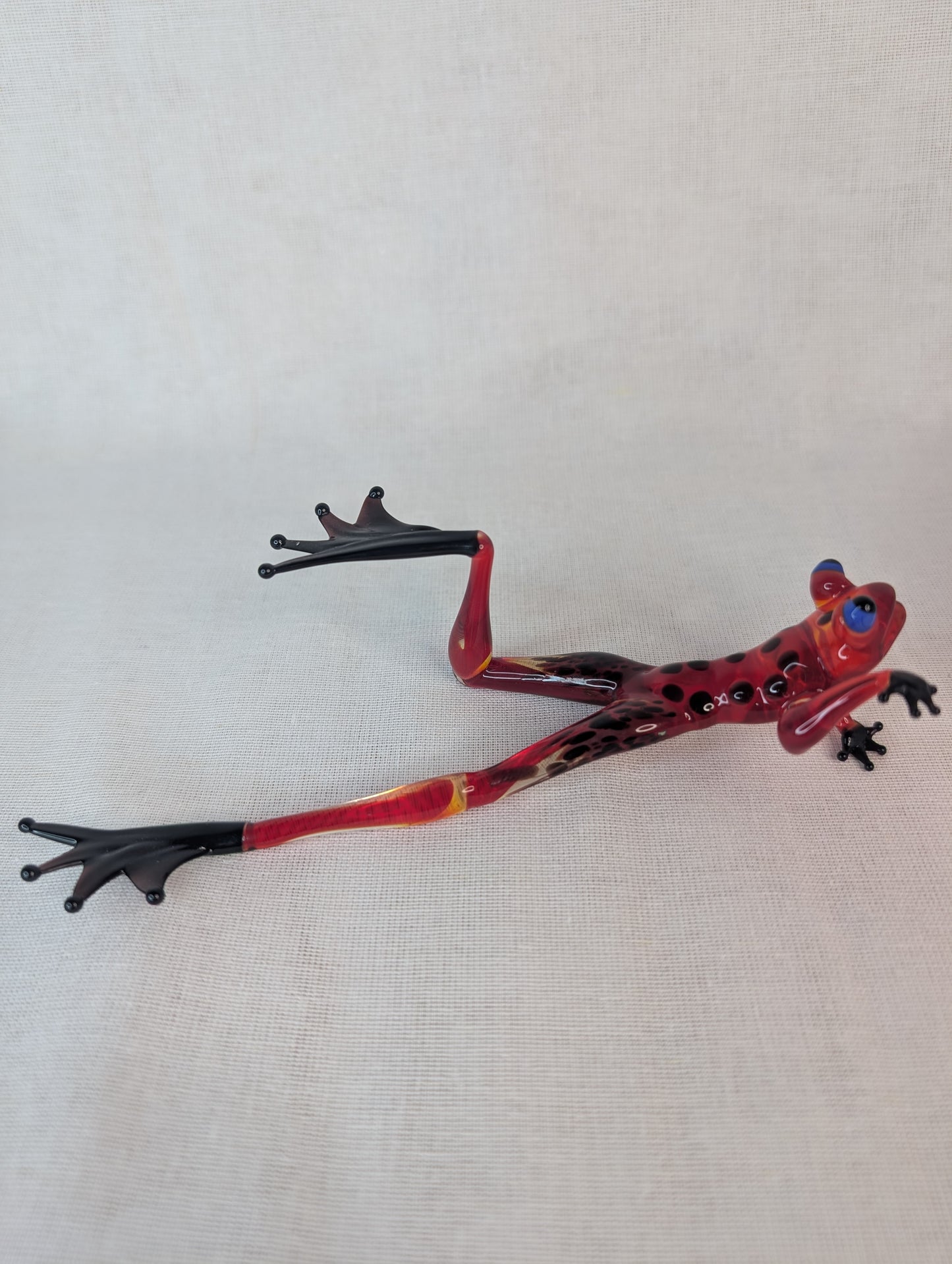 A frog on the beach.