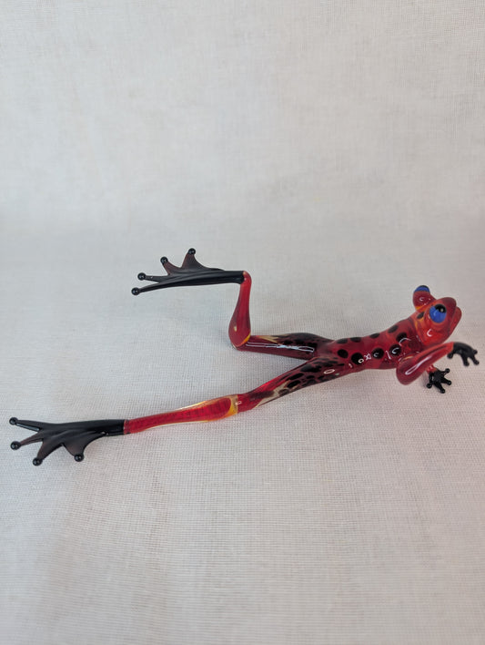 A frog on the beach.