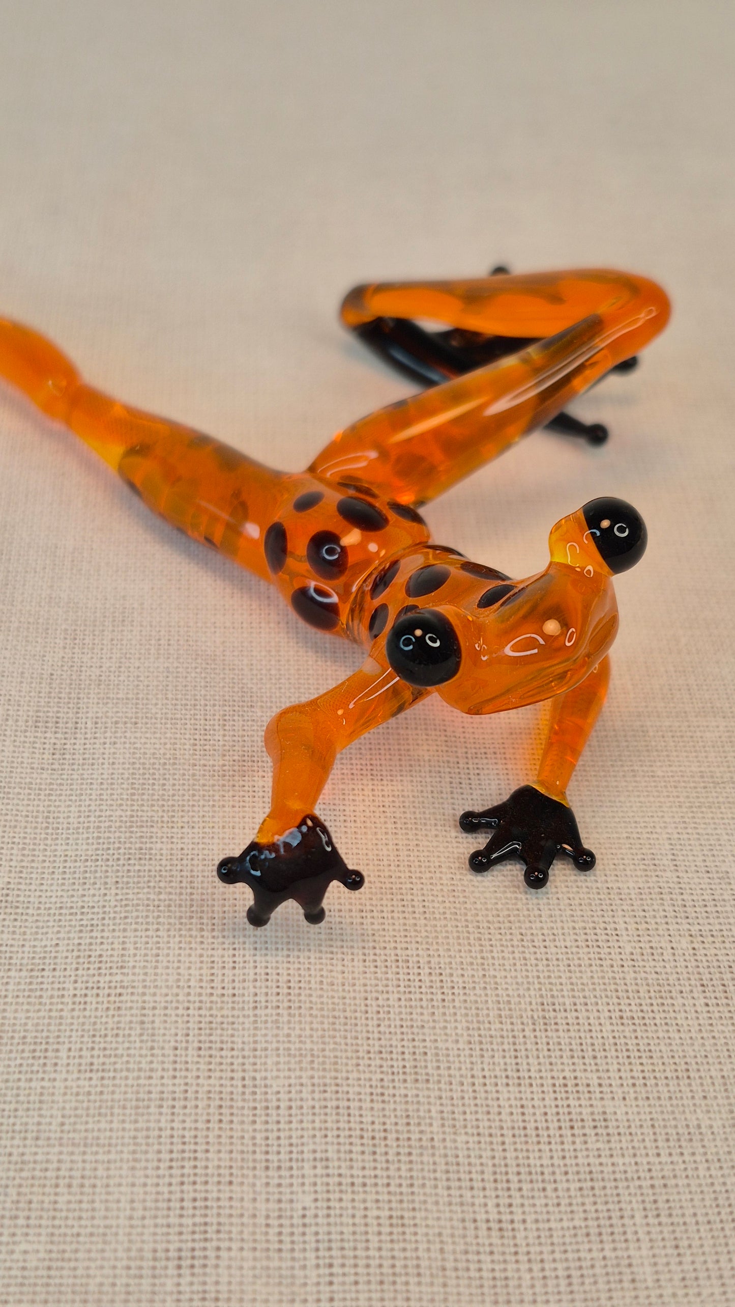 Orange creeping frog