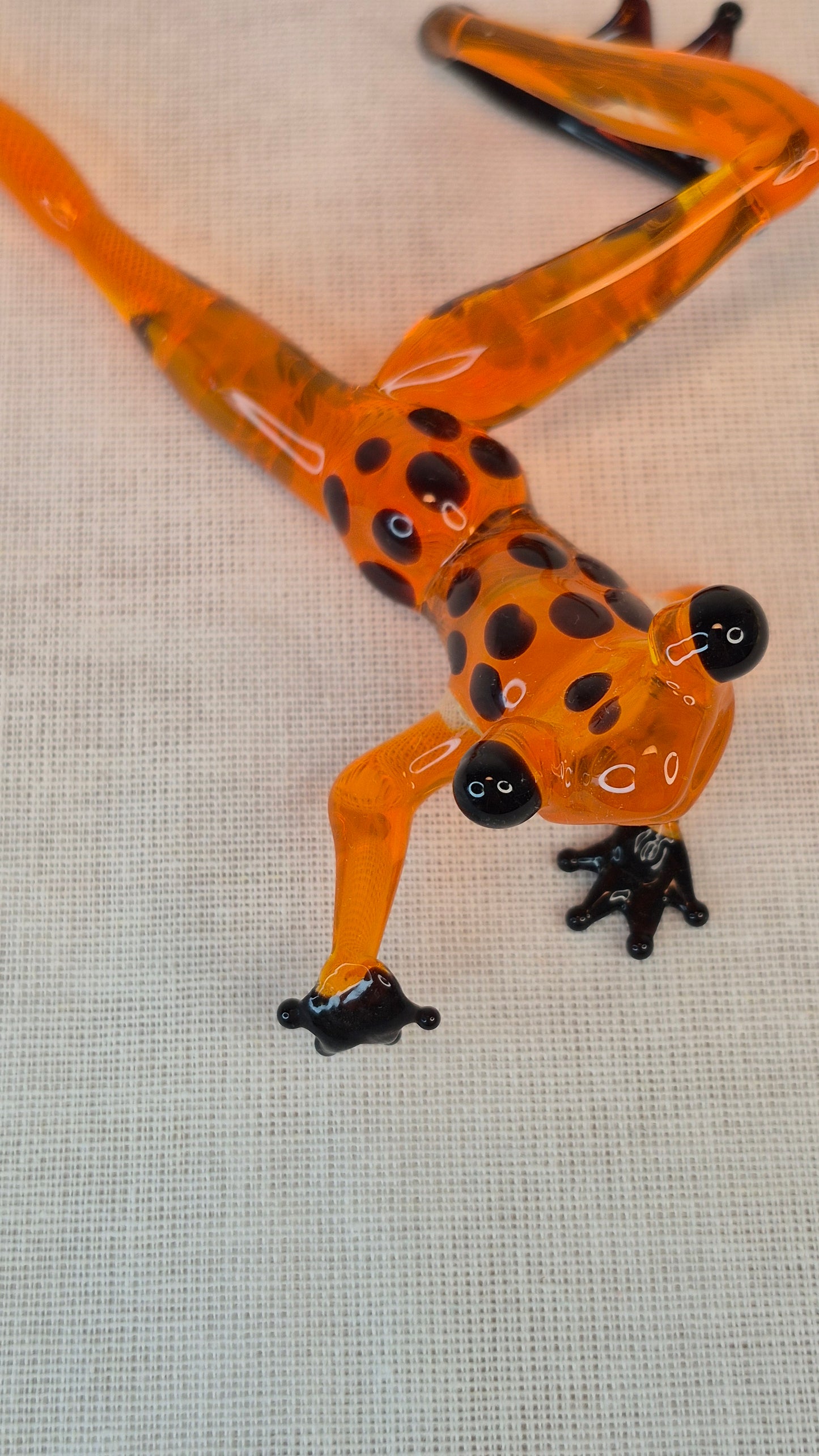 Orange creeping frog