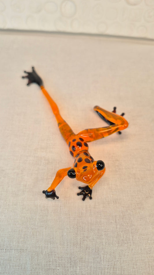 Orange creeping frog