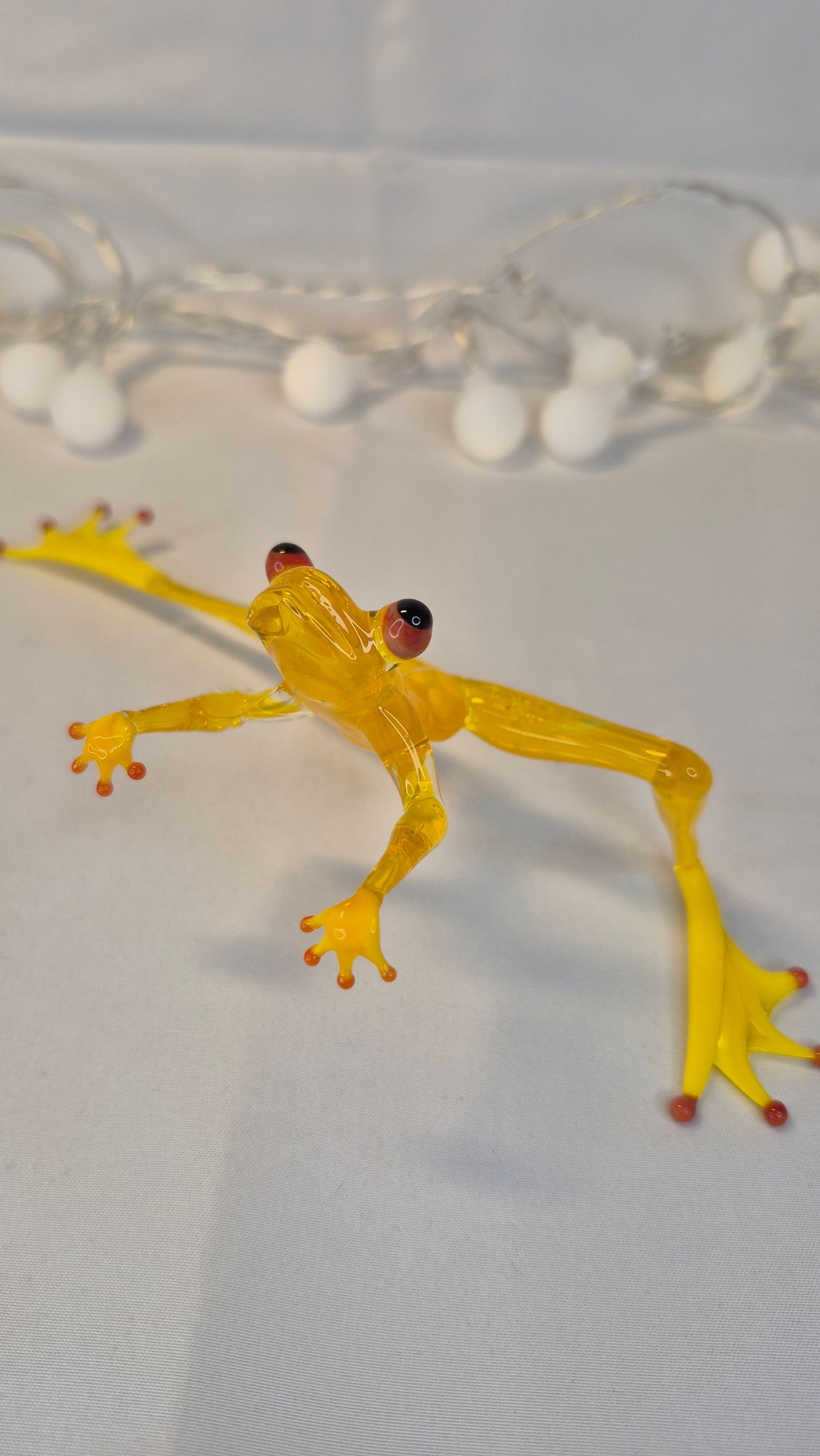 Kung Fu  Frog