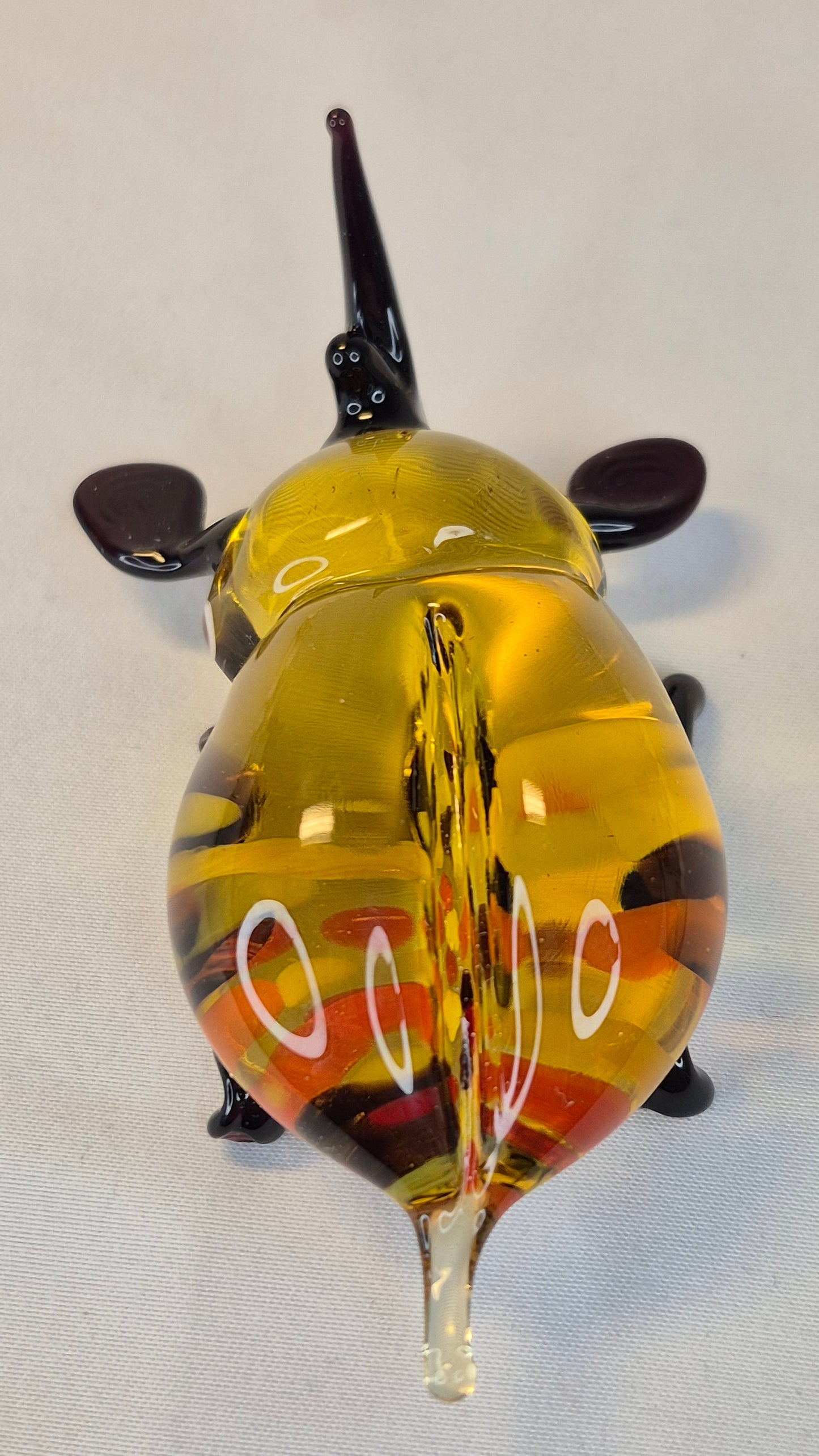 Rhinoceros Beetle