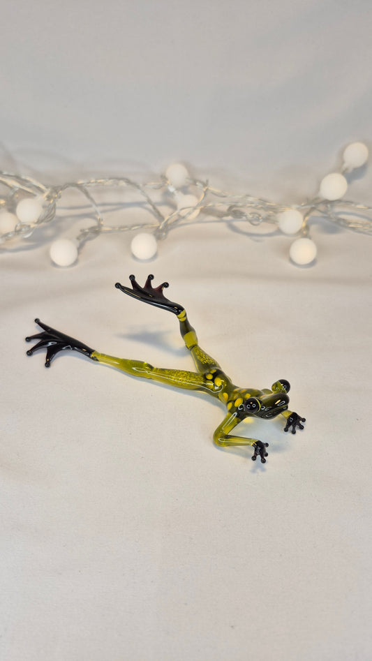Light Green Frog on the Beach