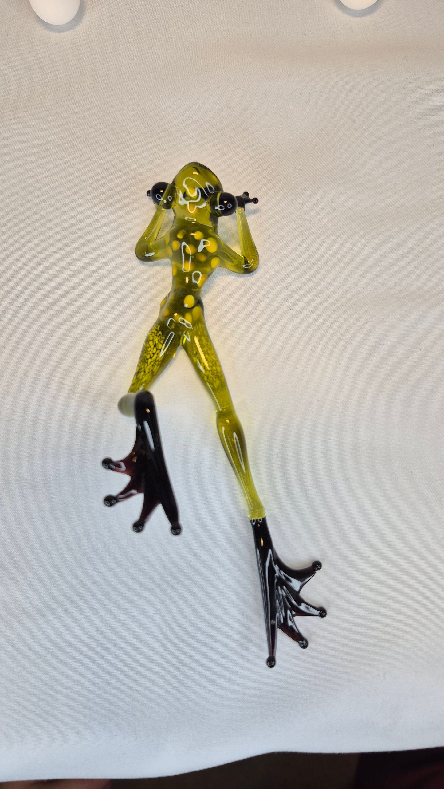 Light Green Frog on the Beach