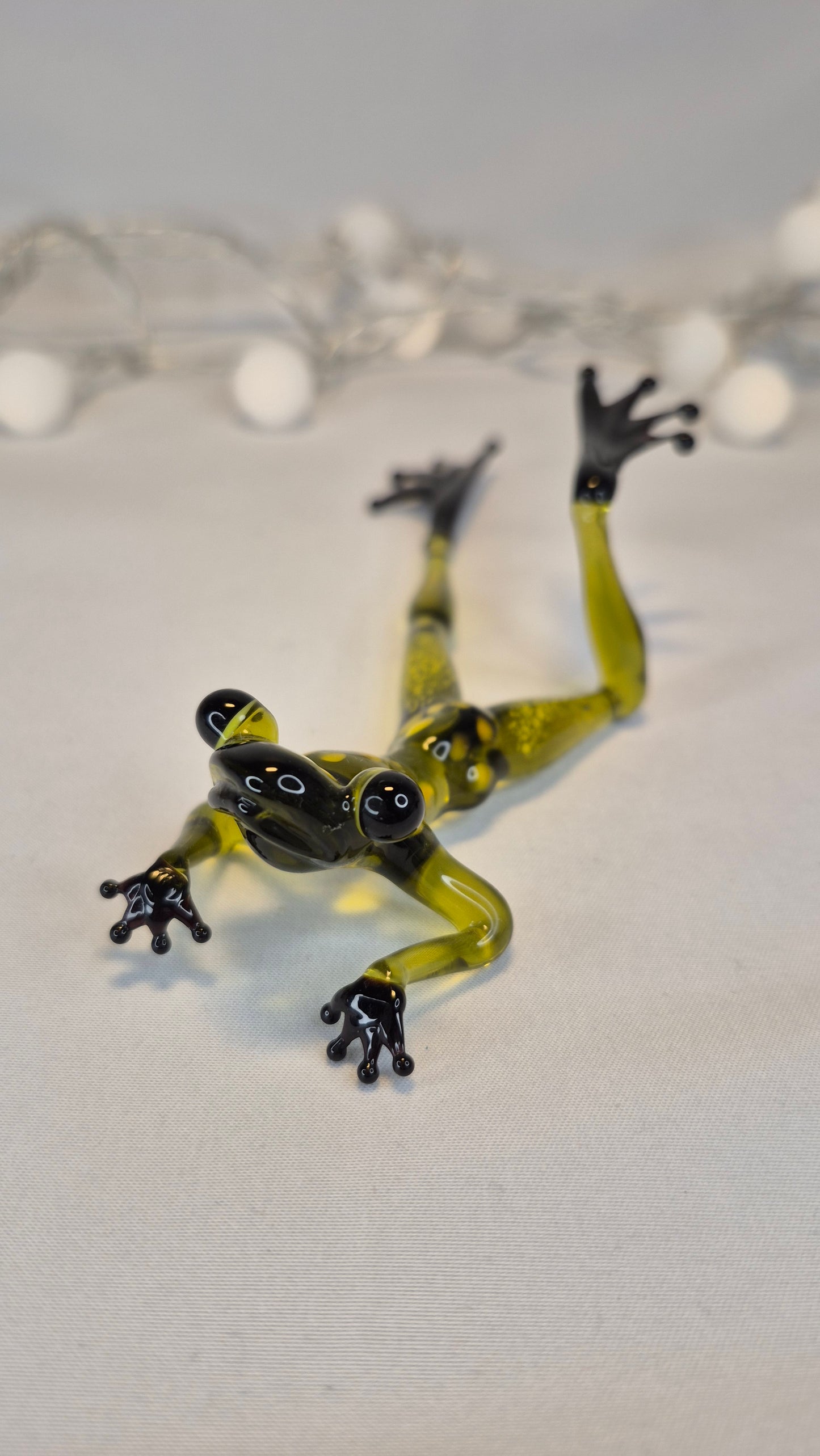 Light Green Frog on the Beach