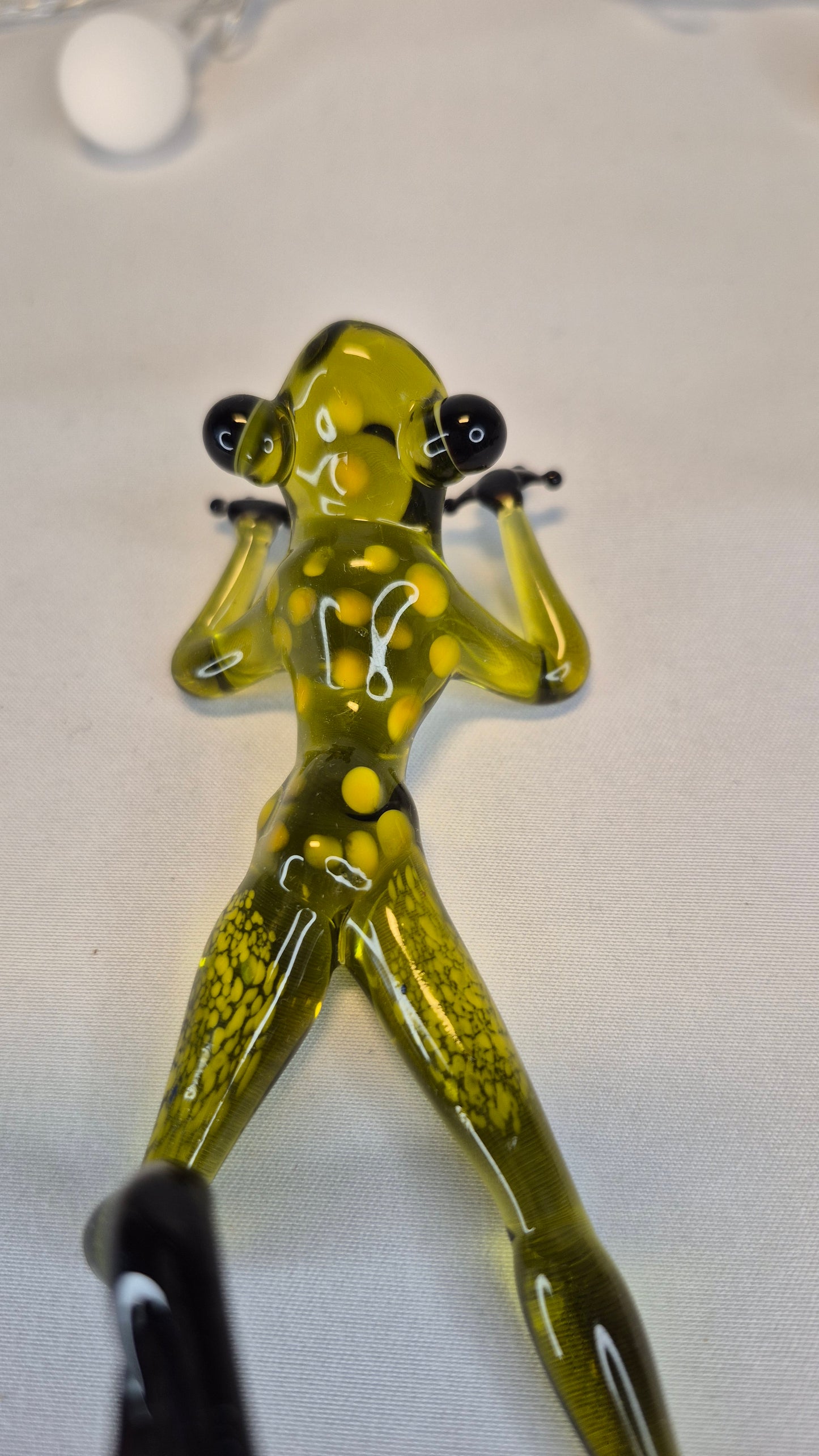 Light Green Frog on the Beach