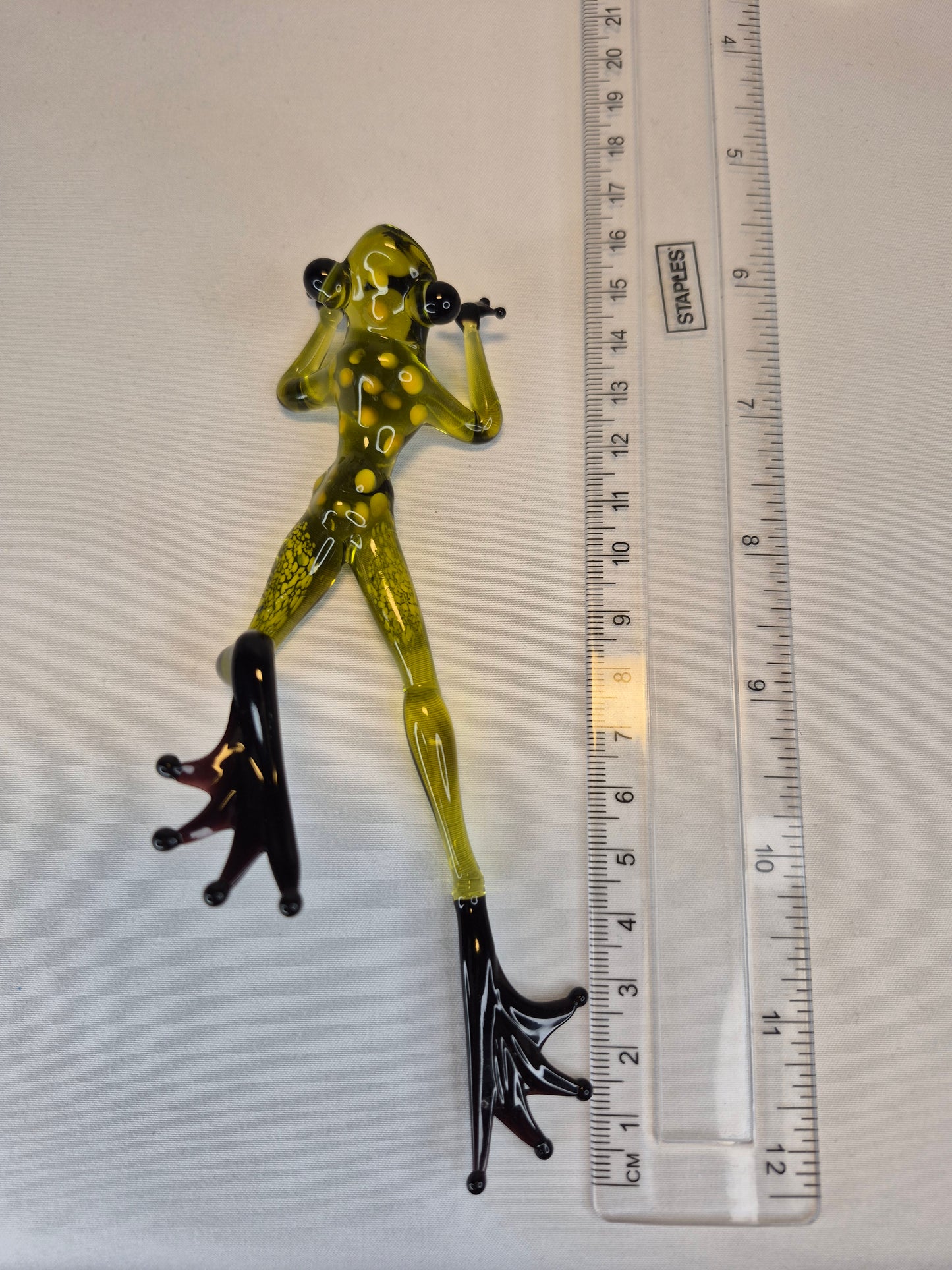 Light Green Frog on the Beach