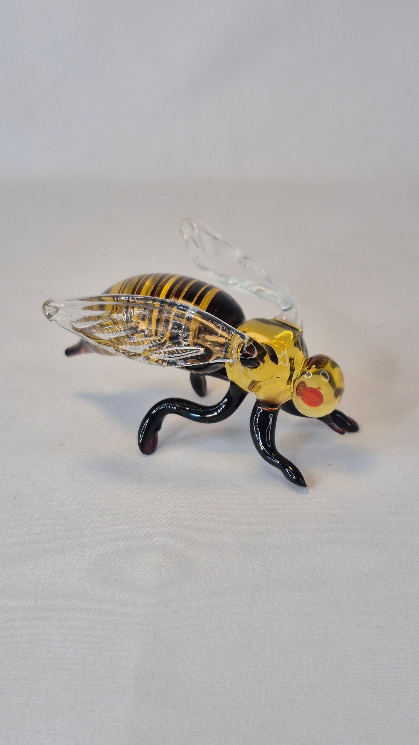 Large Glass Wasp