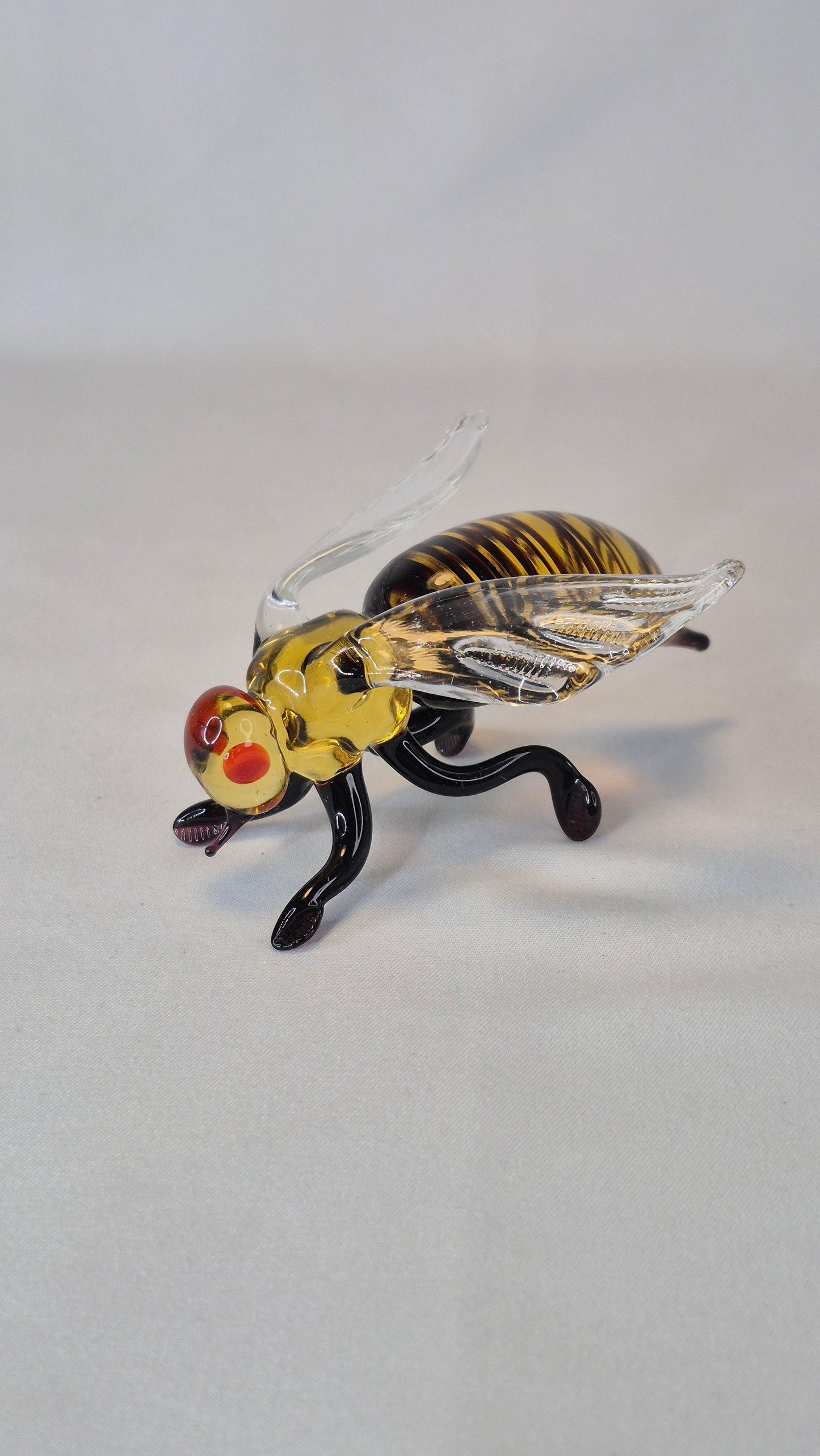 Large Glass Wasp