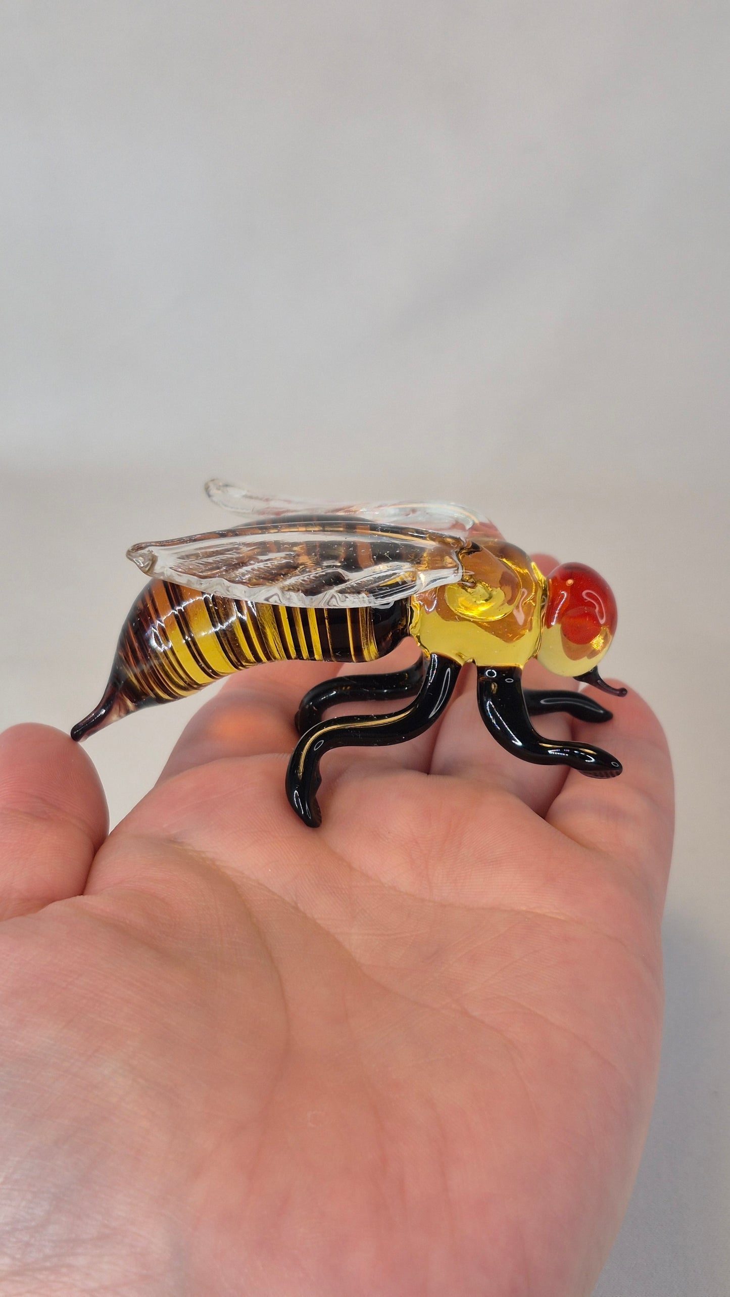 Large Glass Wasp