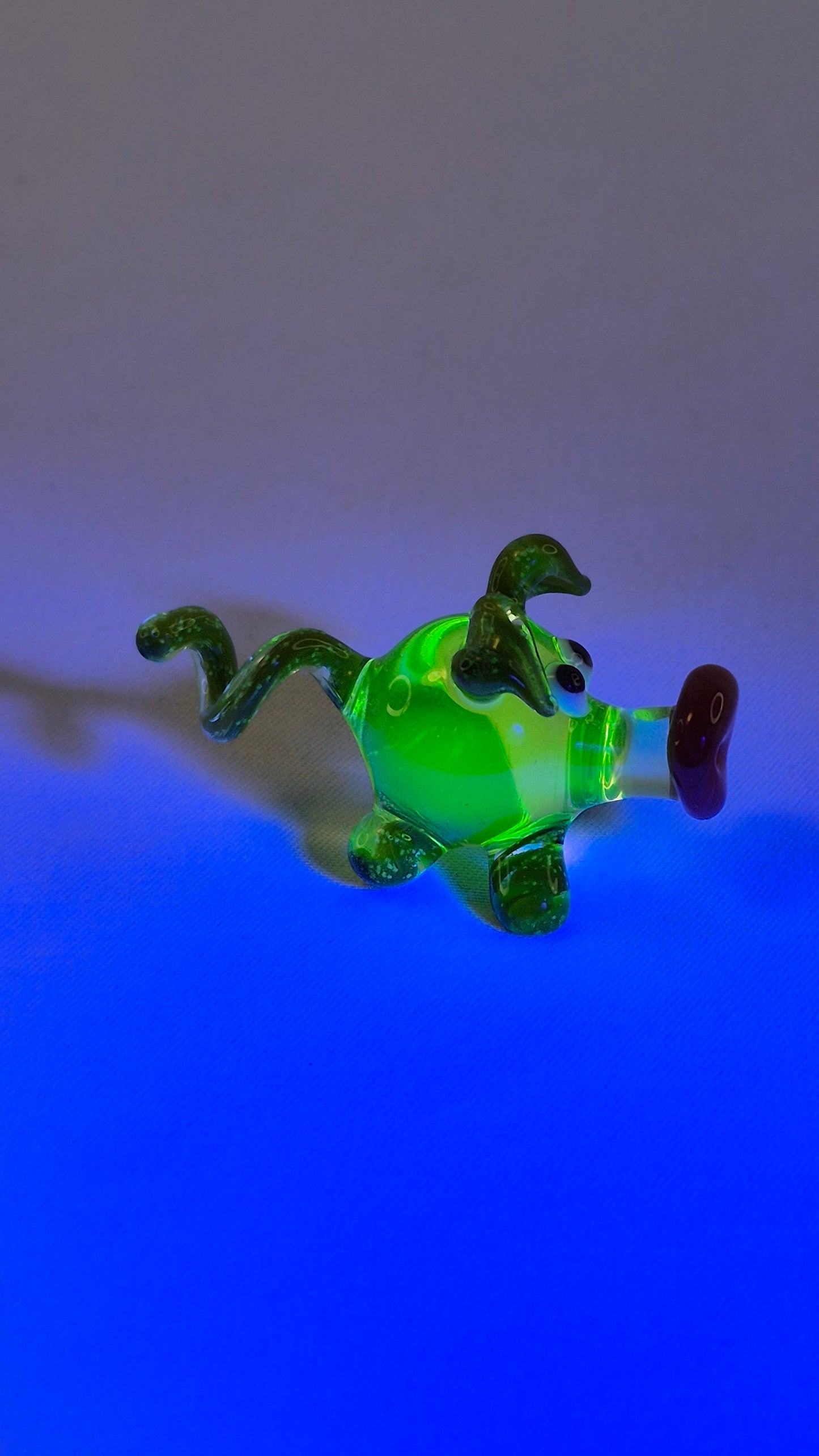 Uranium Mini Pig