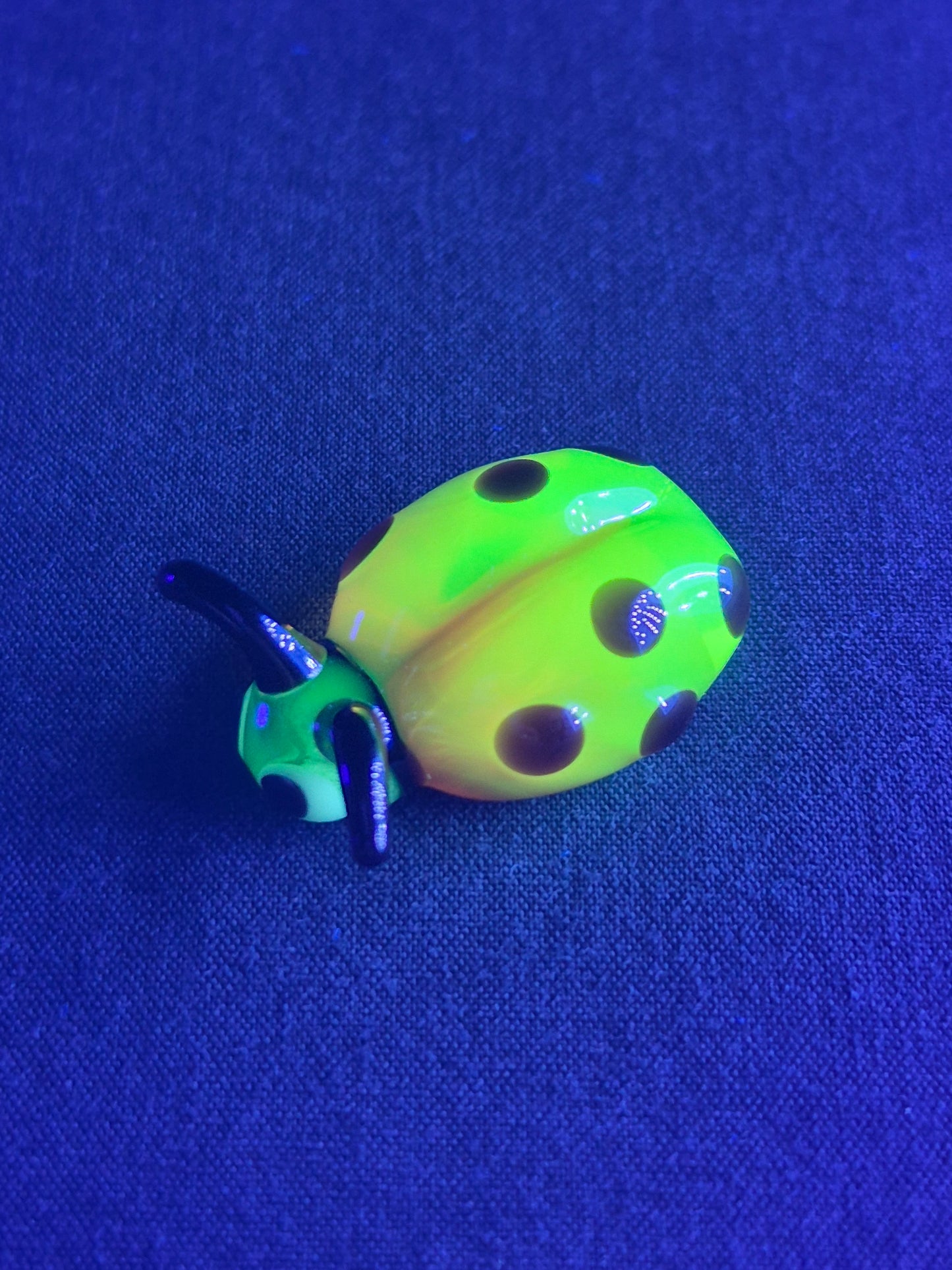 Mini Uranium Glass Ladybug