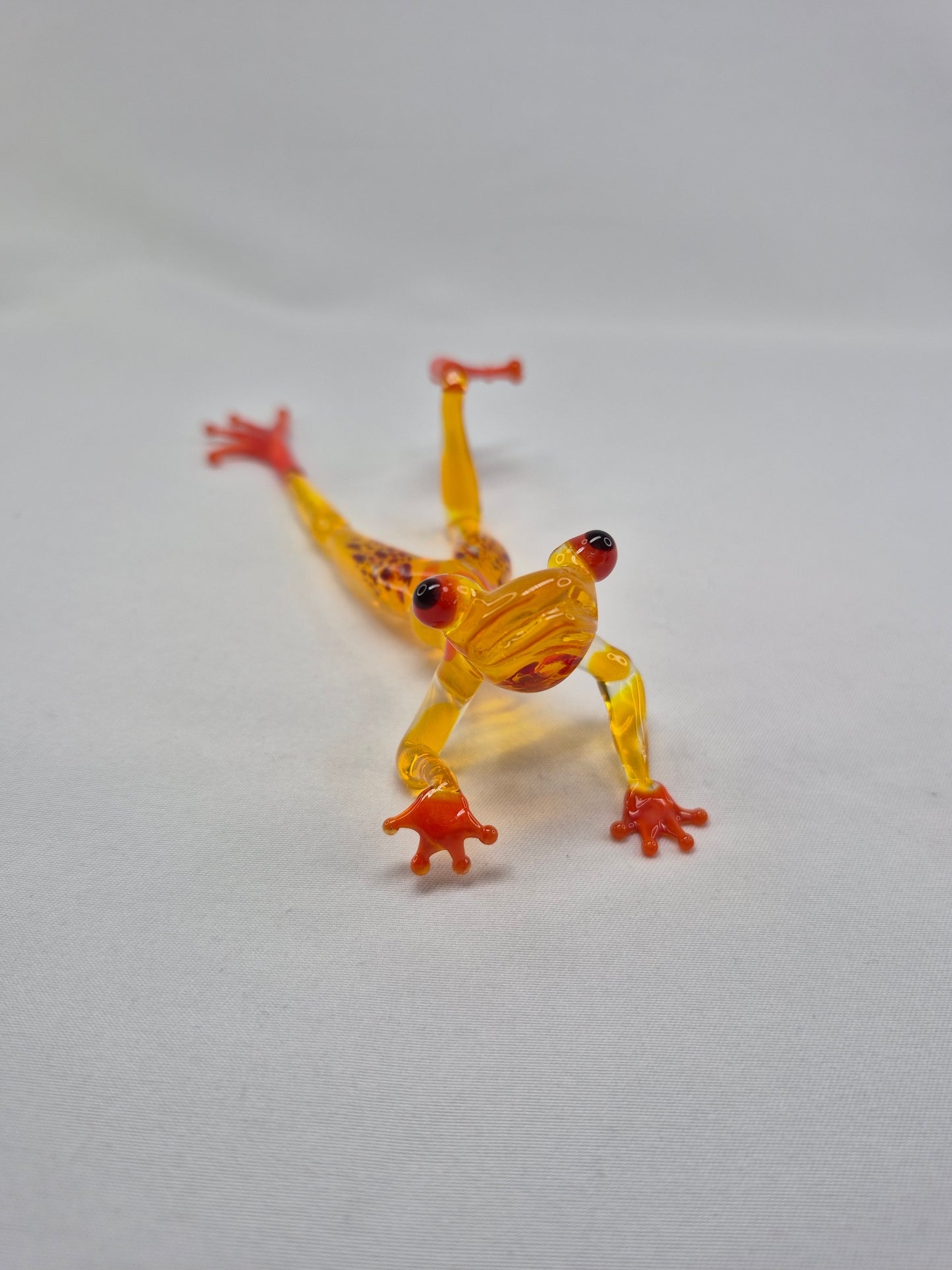 Yellow Glass Frog on the Beach