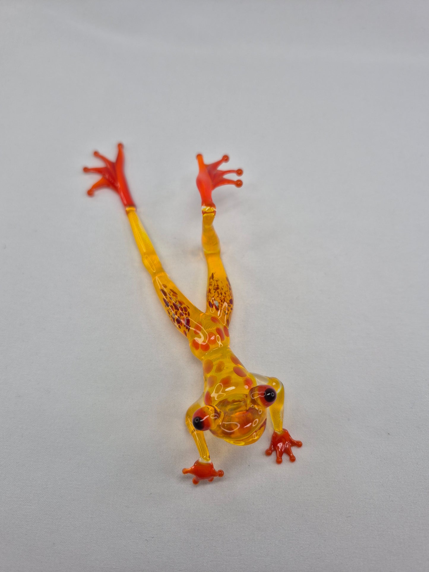 Yellow Glass Frog on the Beach