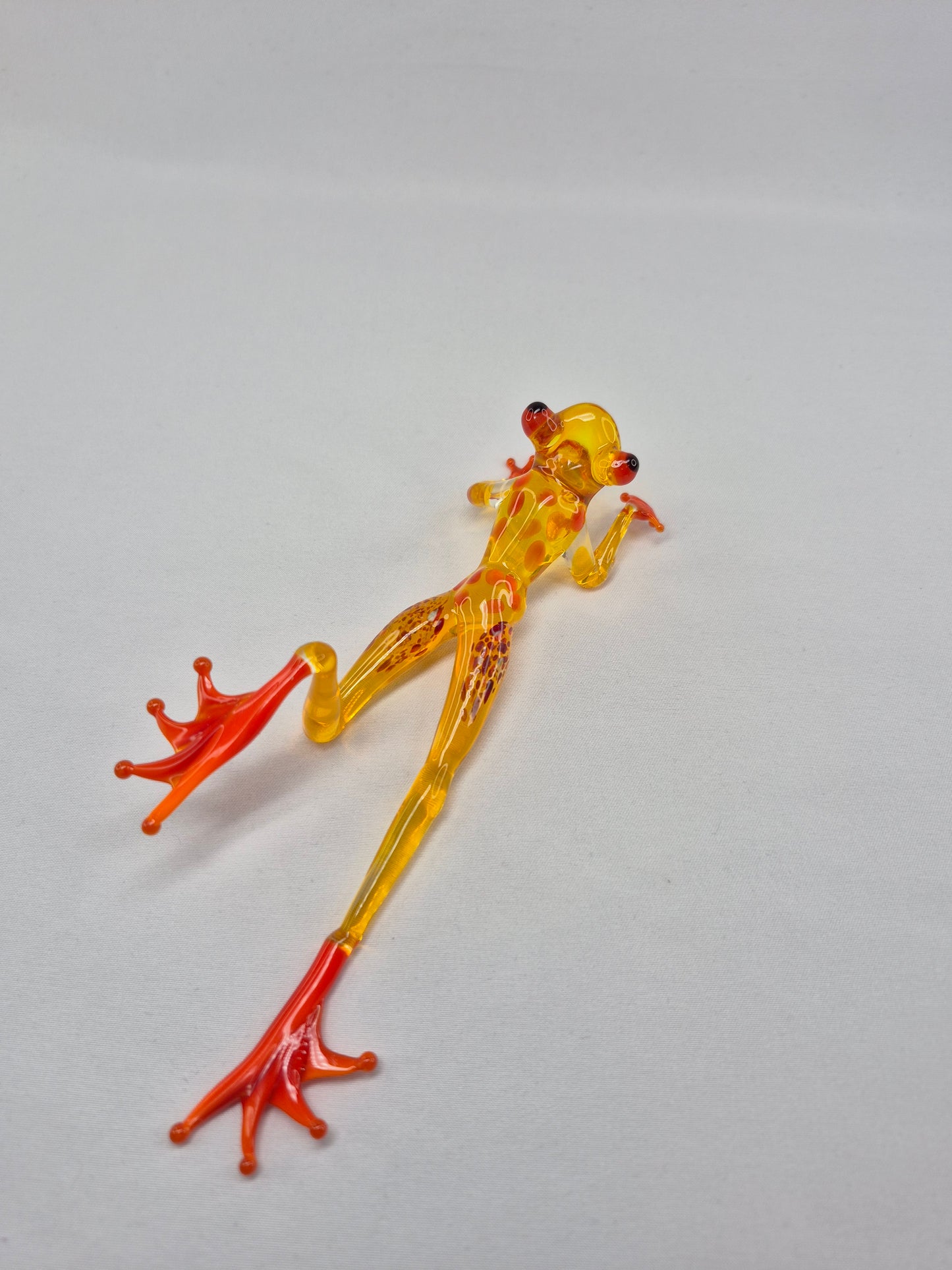 Yellow Glass Frog on the Beach