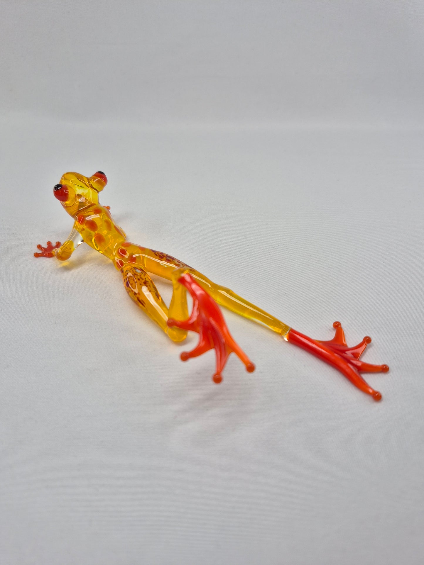 Yellow Glass Frog on the Beach