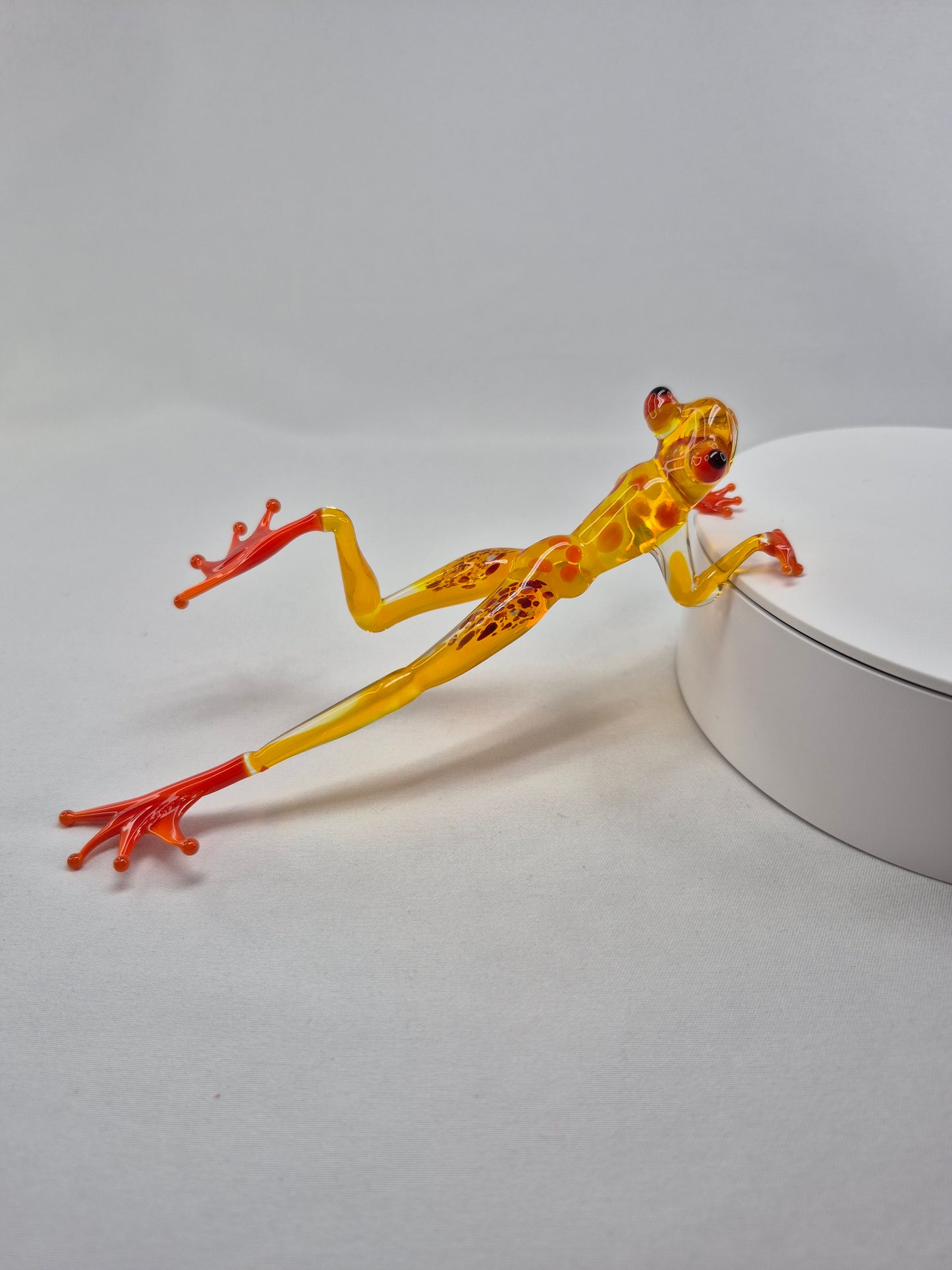 Yellow Glass Frog on the Beach