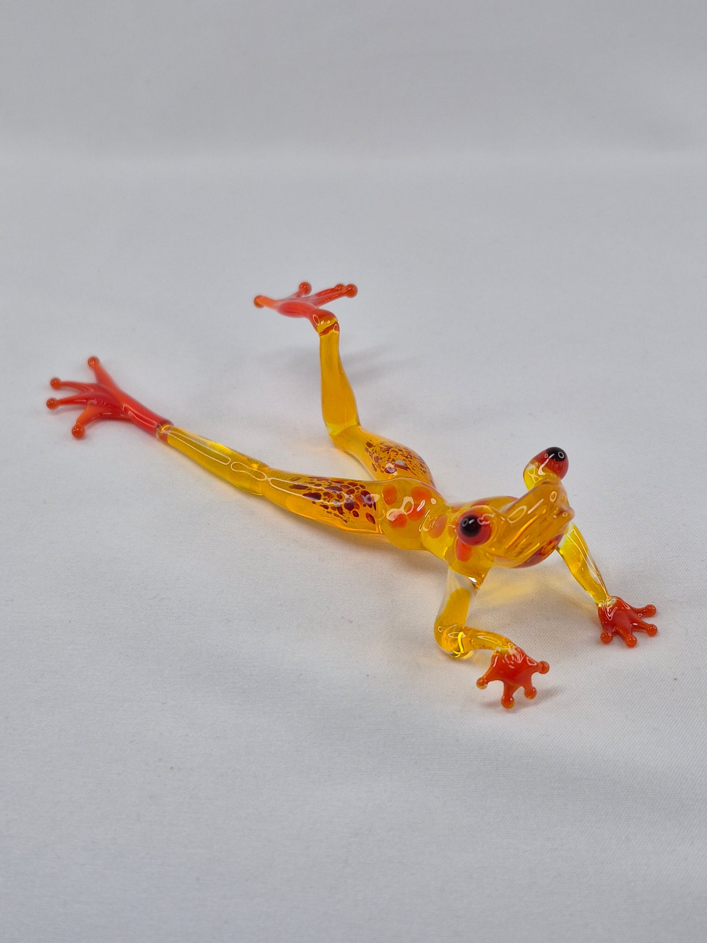 Yellow Glass Frog on the Beach