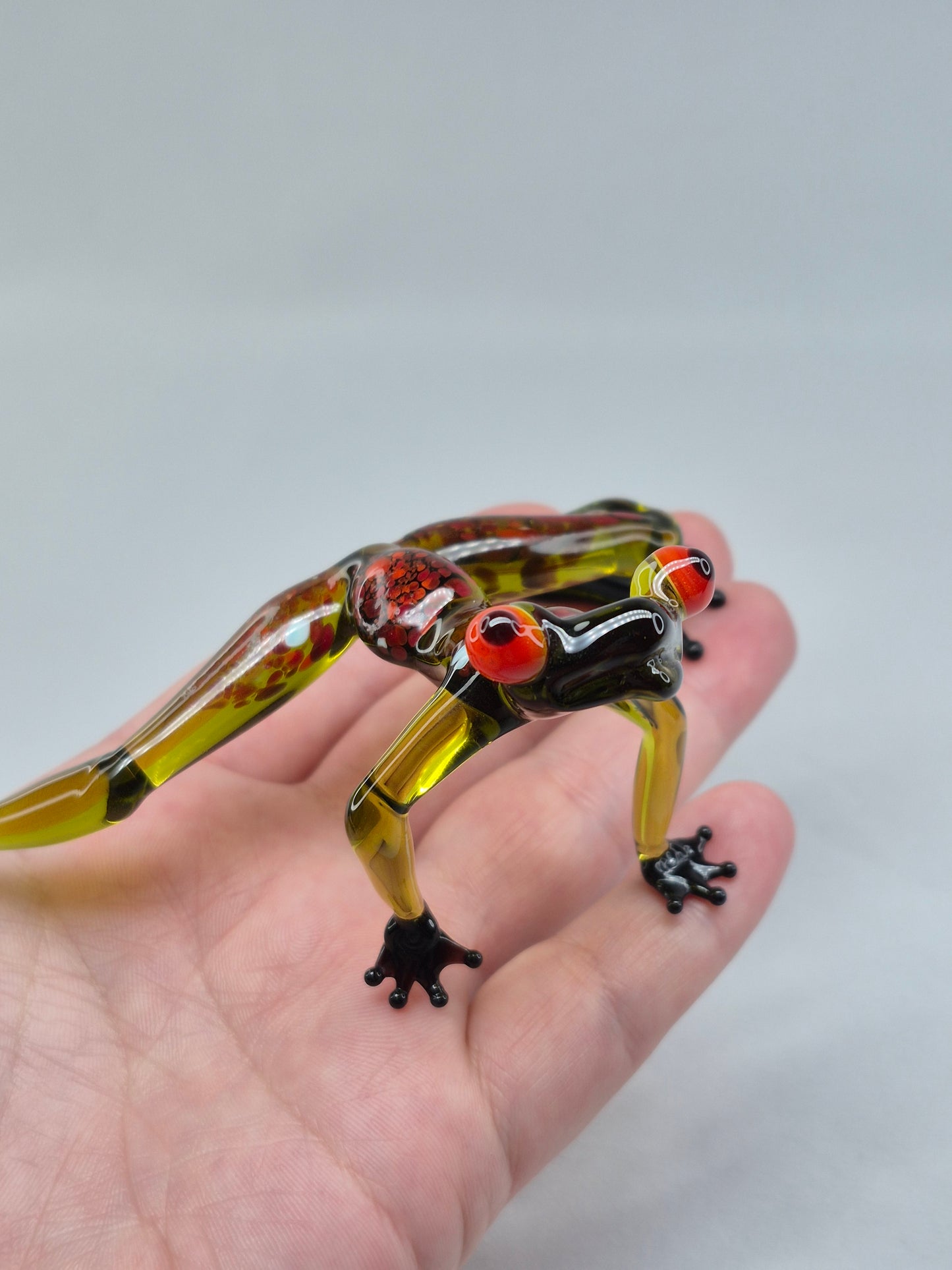 Dark Green Sitting Glass Frog