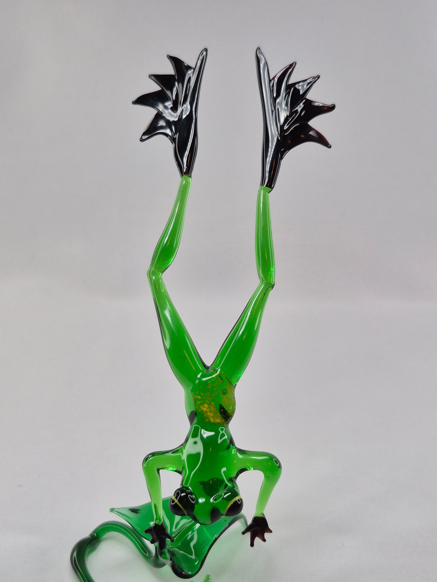 Green Jumping Glass Frog on Flower