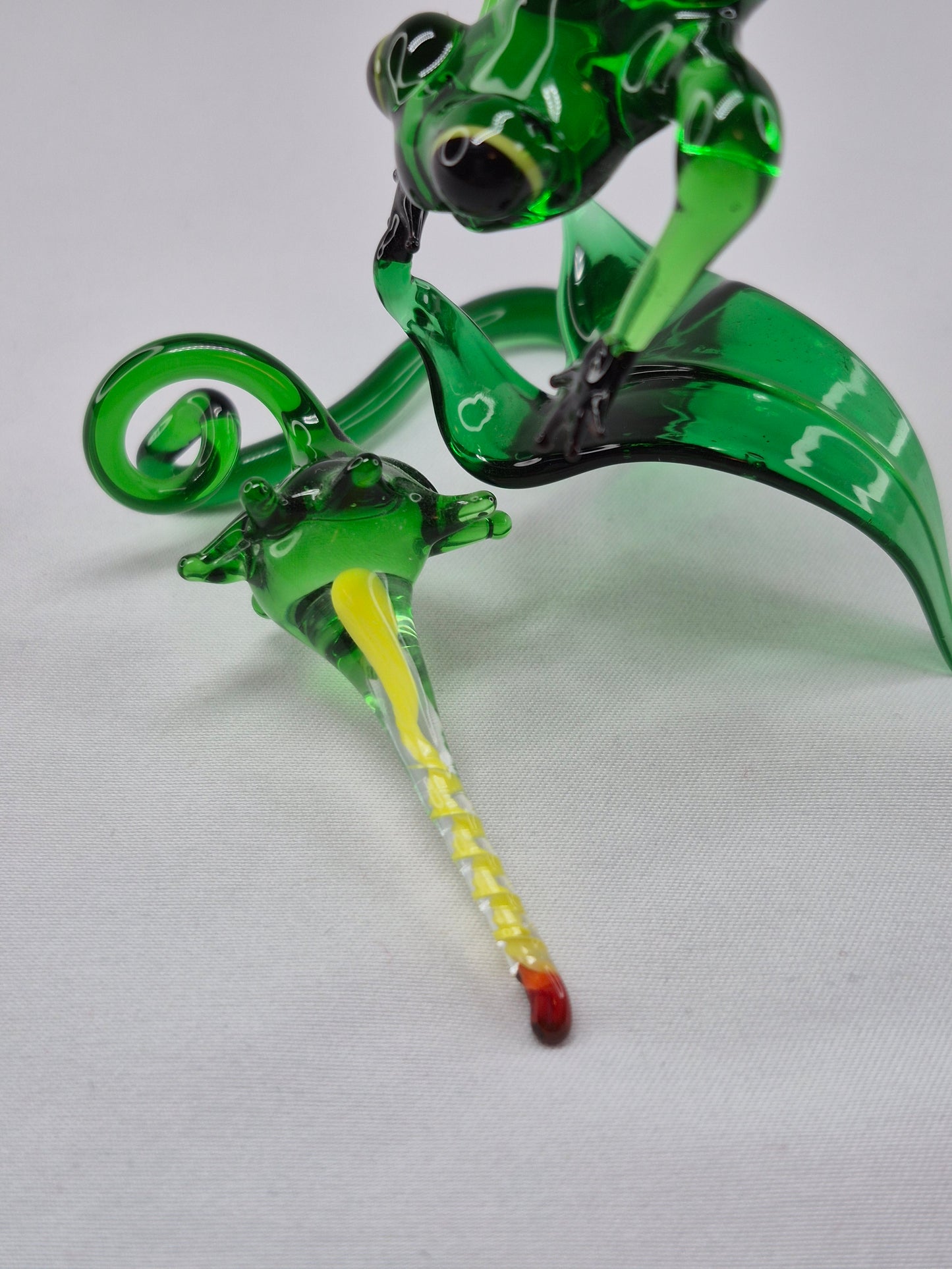 Green Jumping Glass Frog on Flower