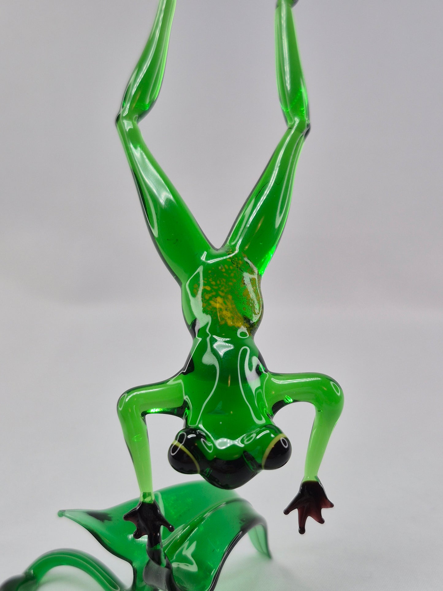 Green Jumping Glass Frog on Flower