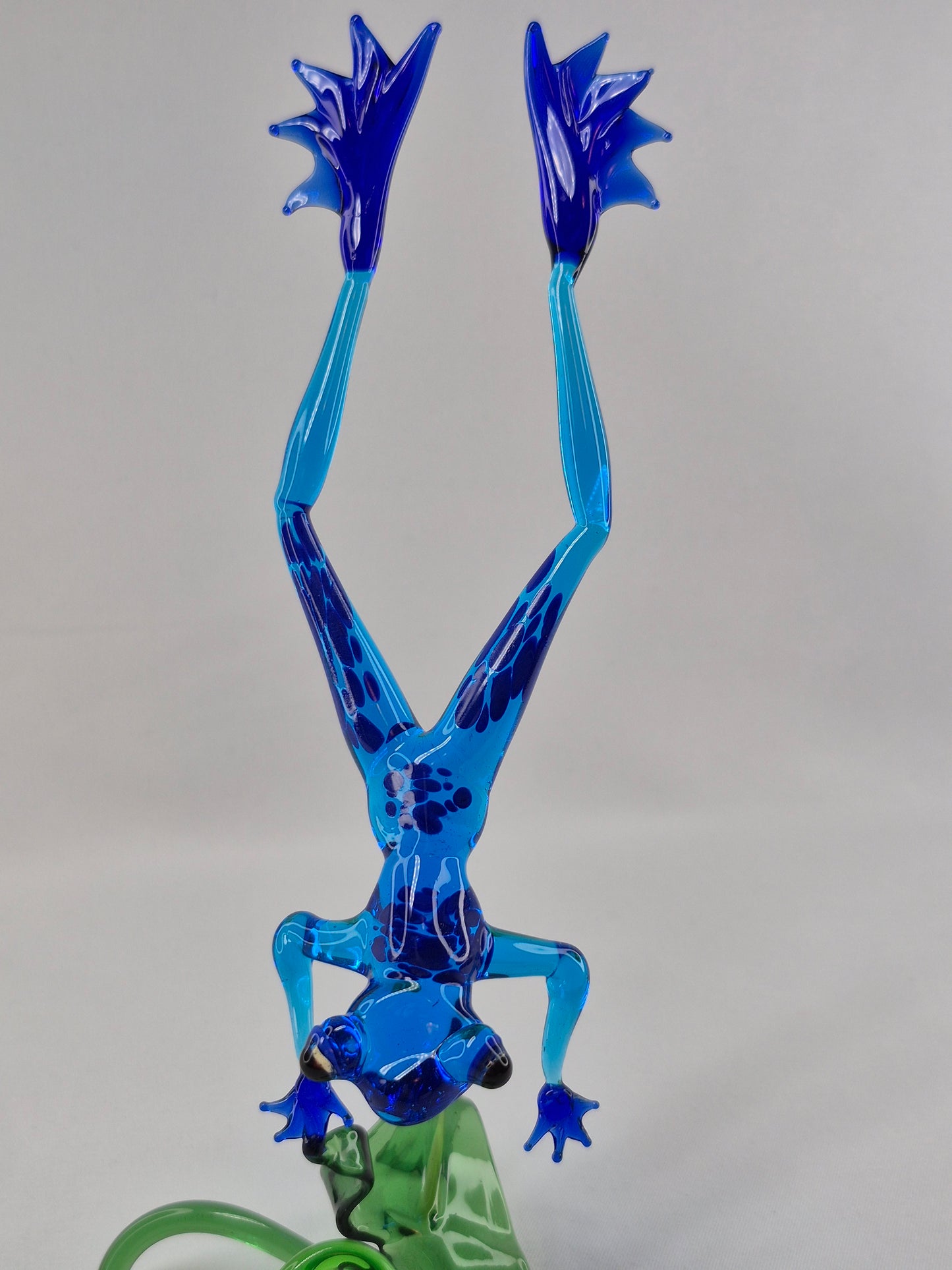 Blue Jumping Frog on Flower