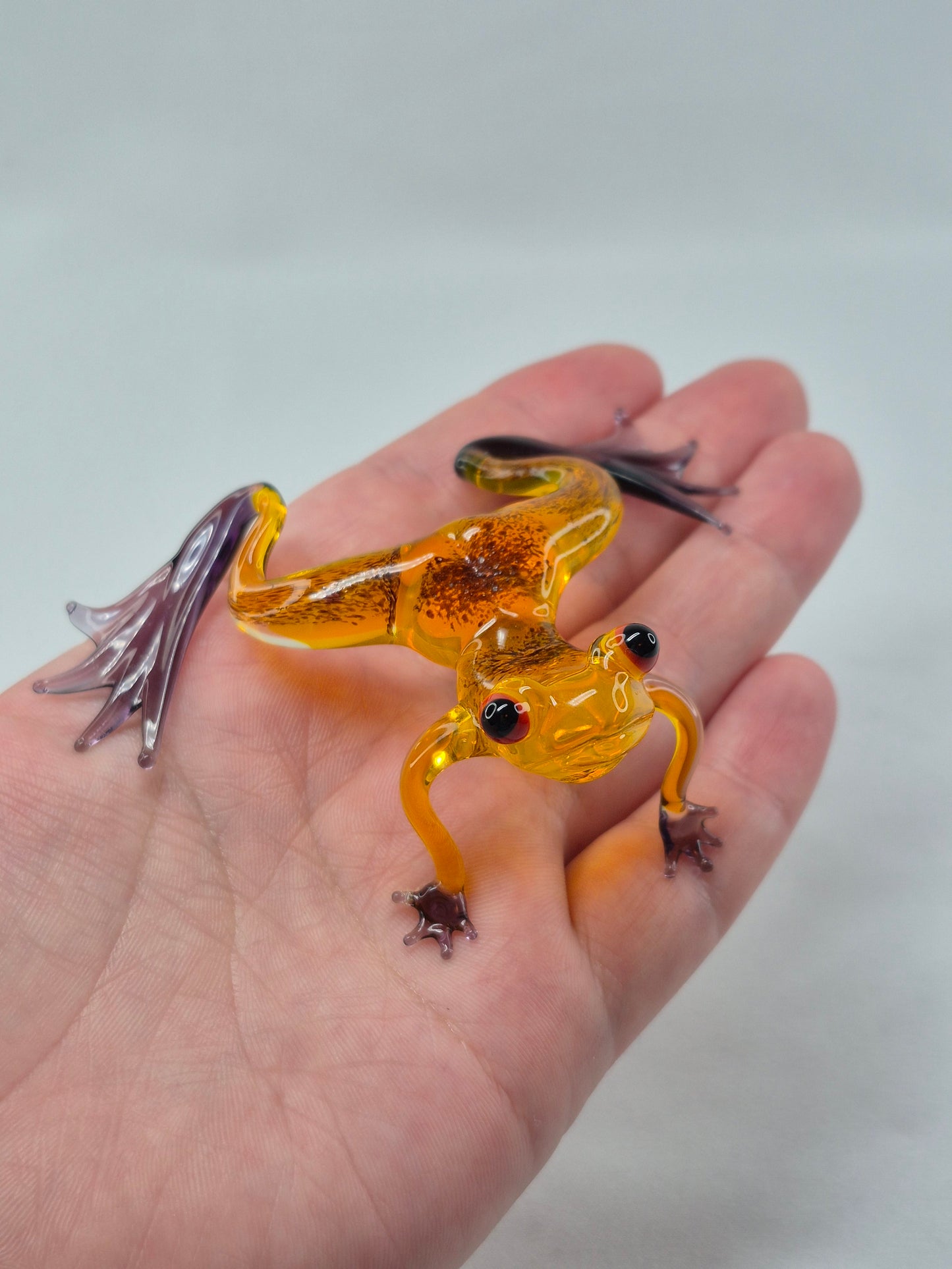 Yellow Sitting Glass Frog