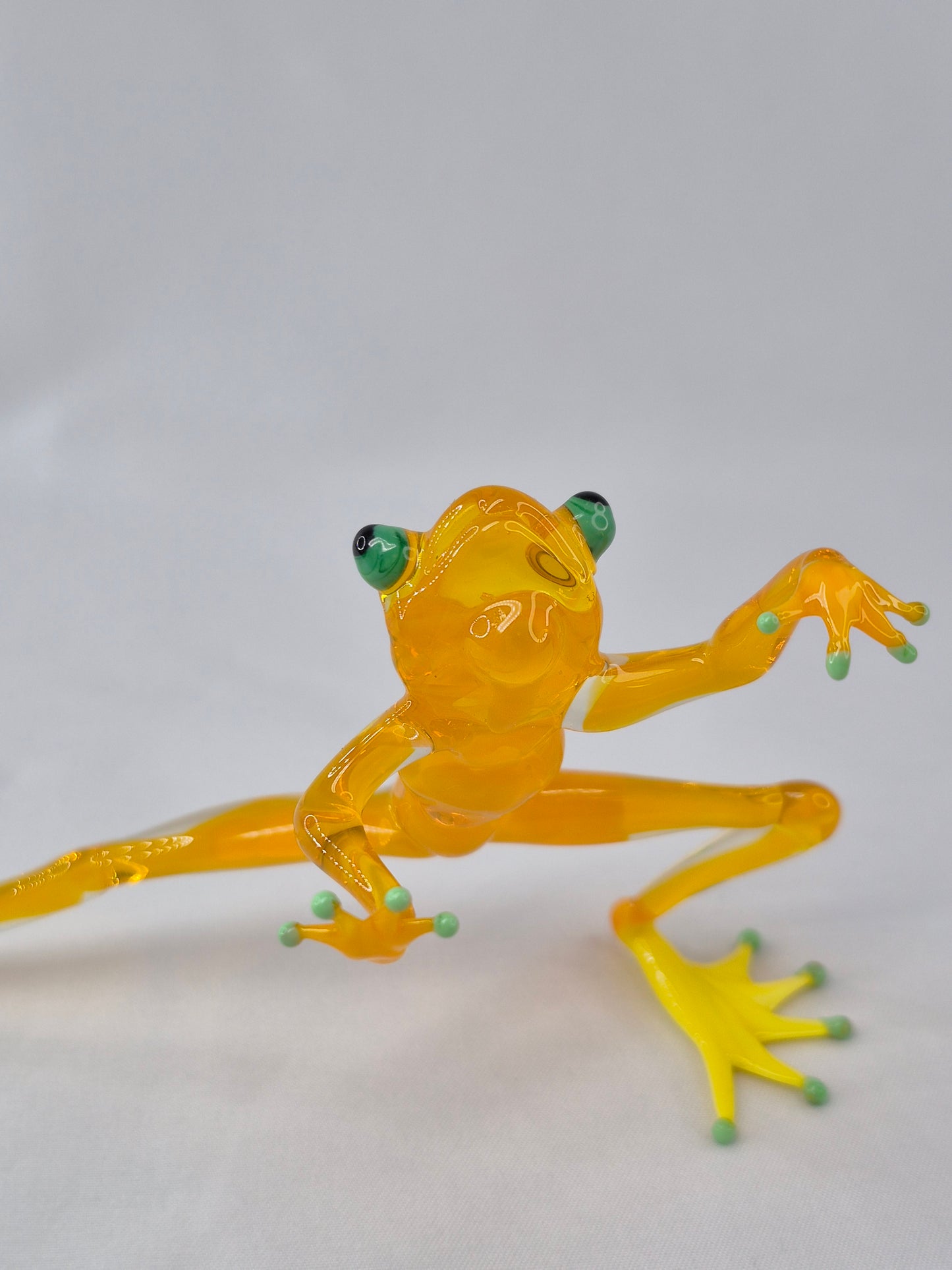 Yellow Glass Frog in a Wushu Pose