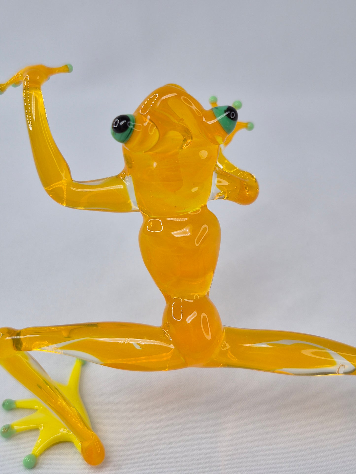 Yellow Glass Frog in a Wushu Pose