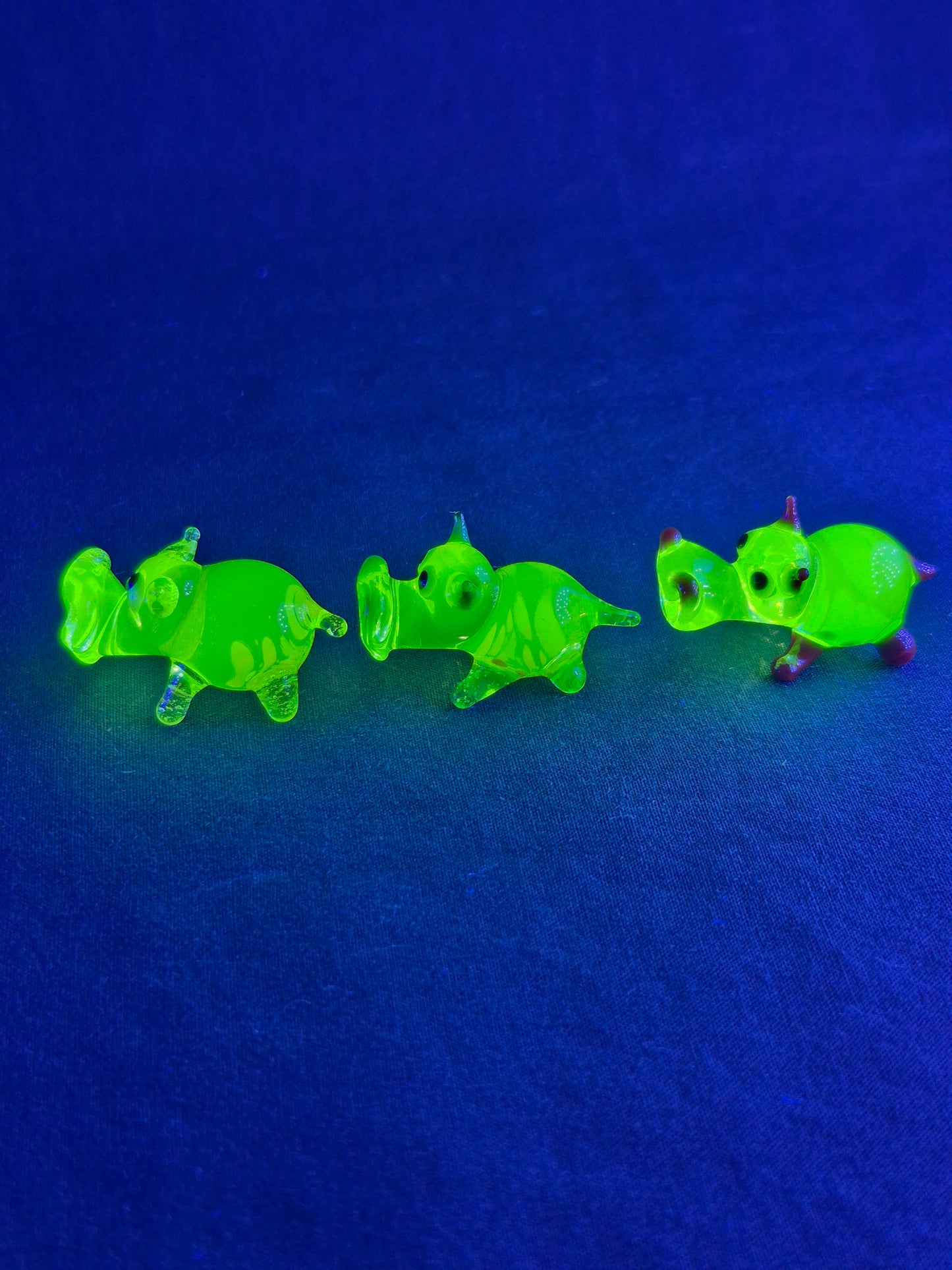 Mini Uranium Glass Hippo Set