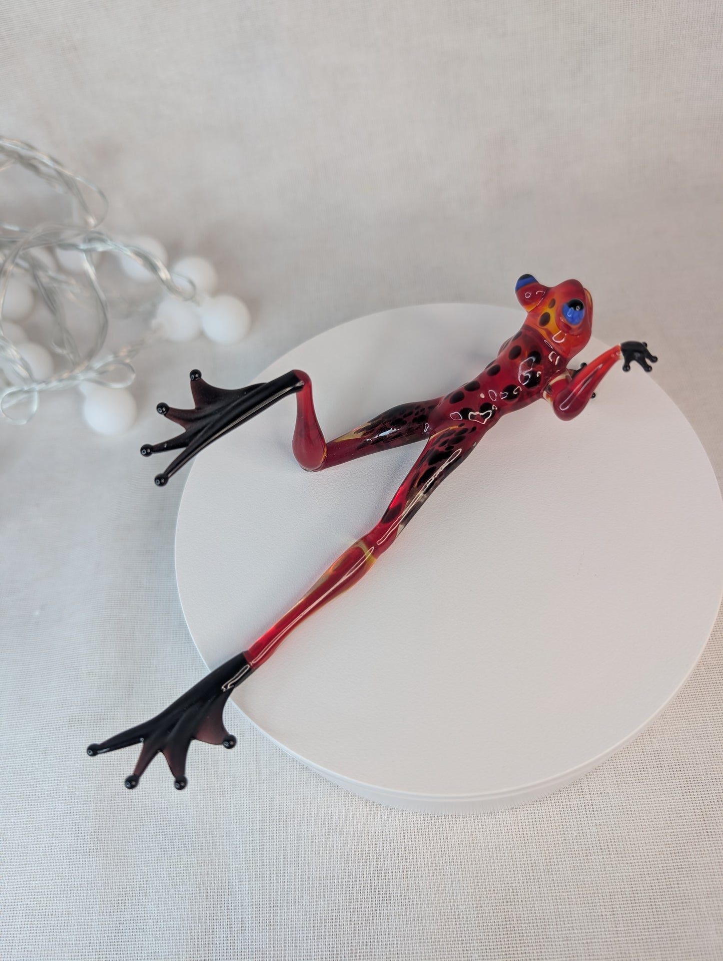 A frog on the beach.