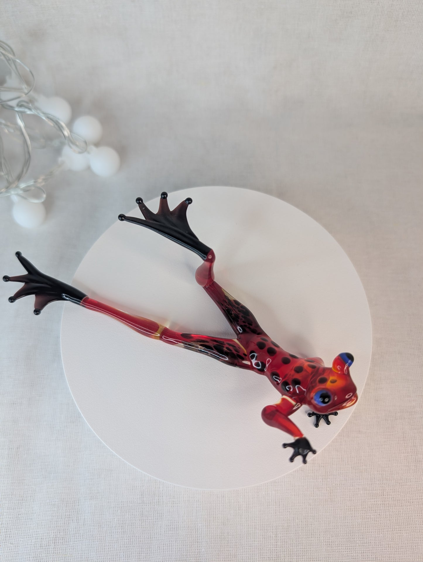 A frog on the beach.