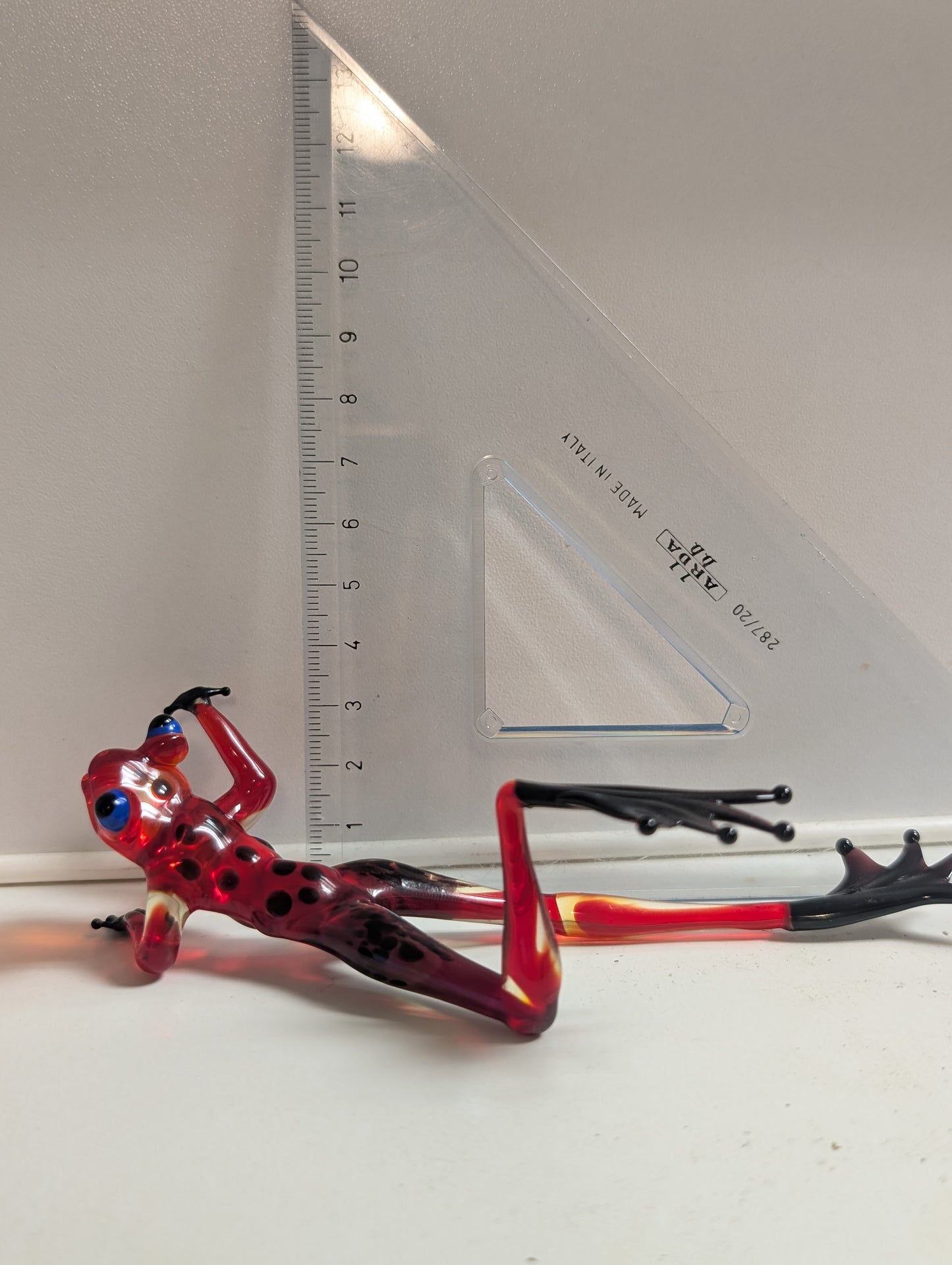 A frog on the beach.