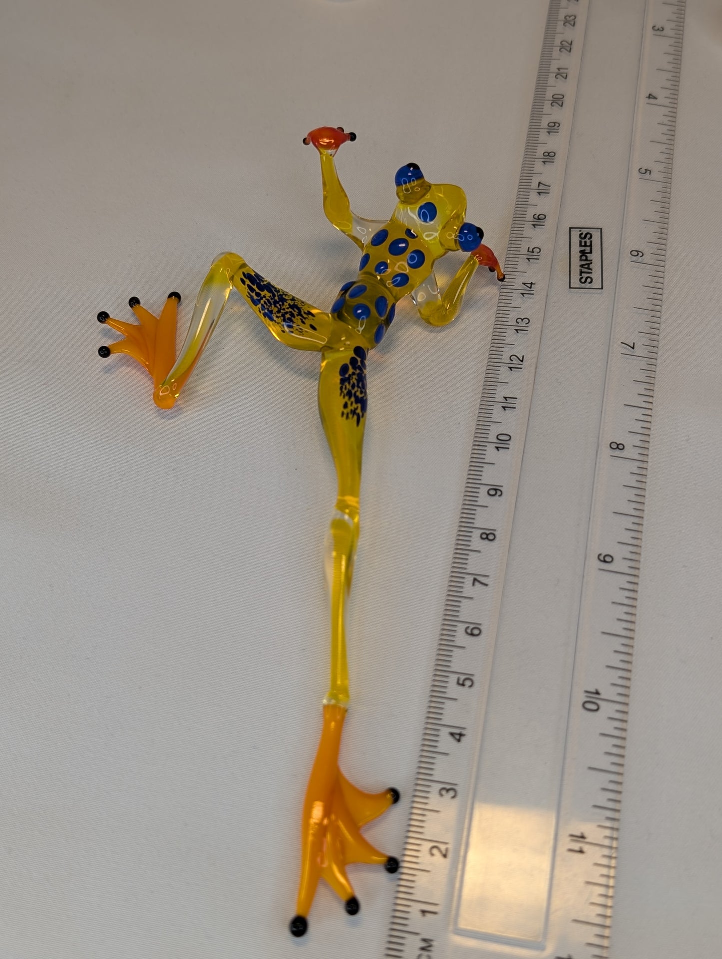 Yellow partisan frog