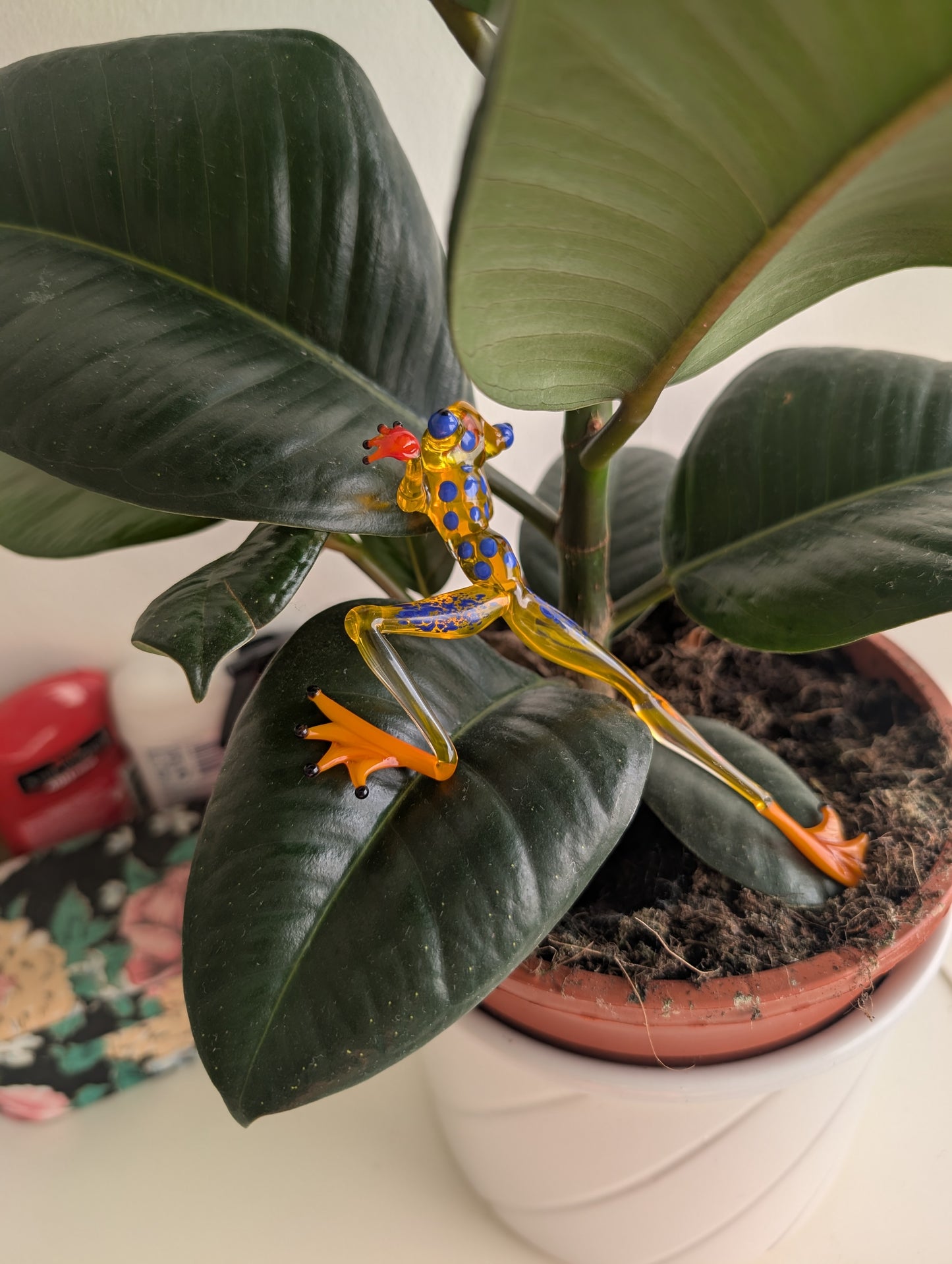 Yellow partisan frog