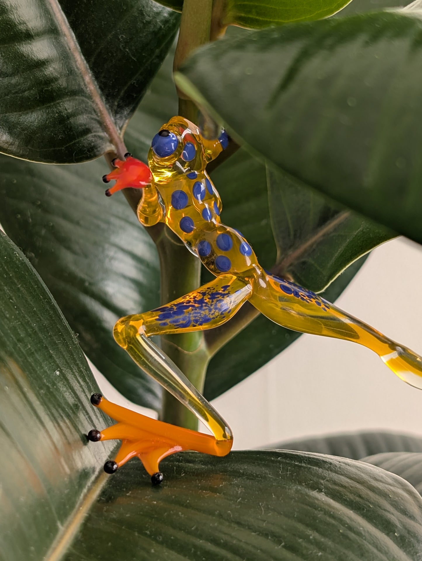 Yellow partisan frog